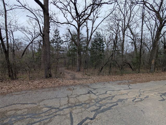 230 Commander Drive, Gun Barrel City, TX 75156