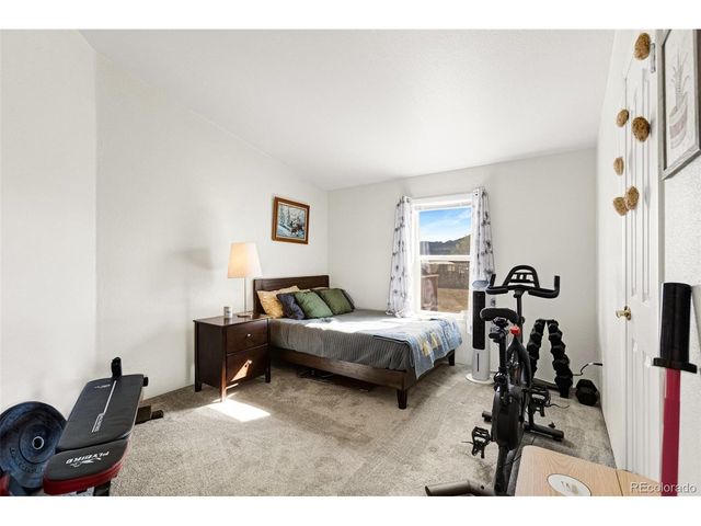 29587 Pinon Ln, Buena Vista, CO 81211