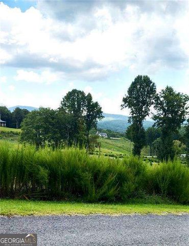 0 Big Valley Drive, Blue Ridge, GA 30513