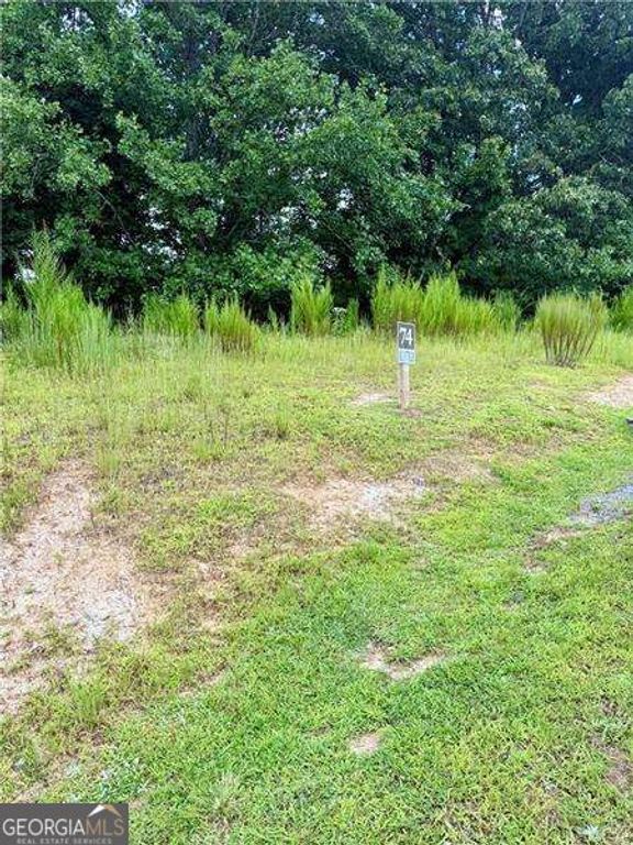 0 Big Valley Drive, Blue Ridge, GA 30513