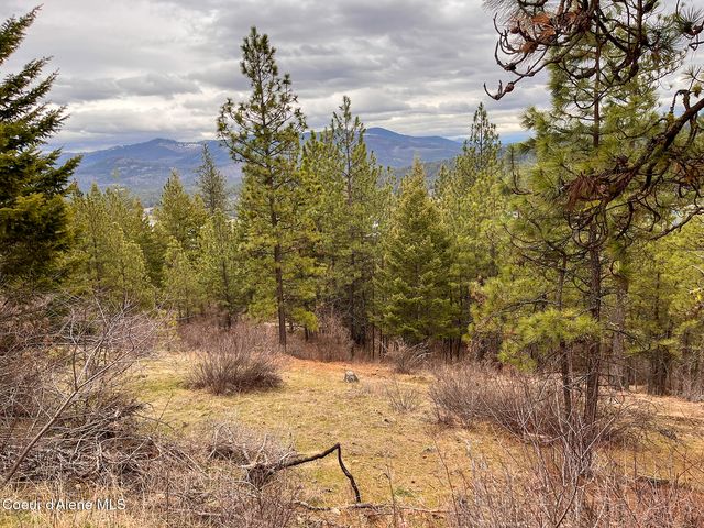nka Cork, Priest River, ID 83856