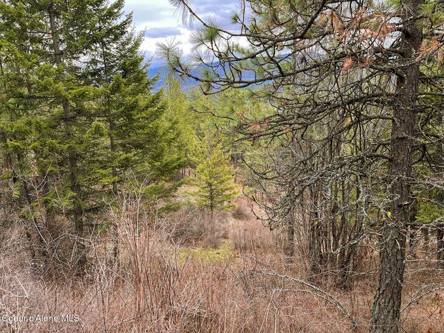 nka Cork, Priest River, ID 83856