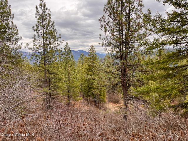 nka Cork, Priest River, ID 83856