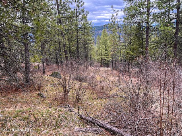 nka Cork, Priest River, ID 83856