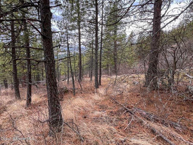 nka Cork, Priest River, ID 83856