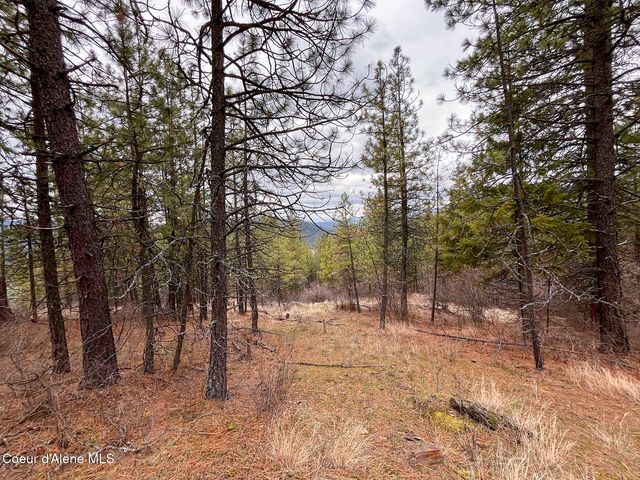 nka Cork, Priest River, ID 83856