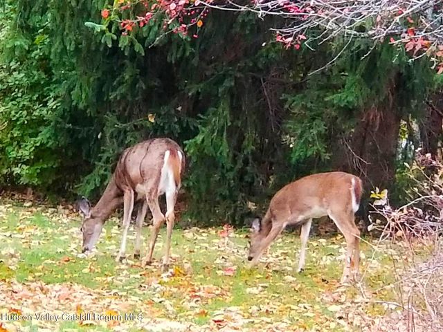 3582 Route 23c, Jewett, NY 12444