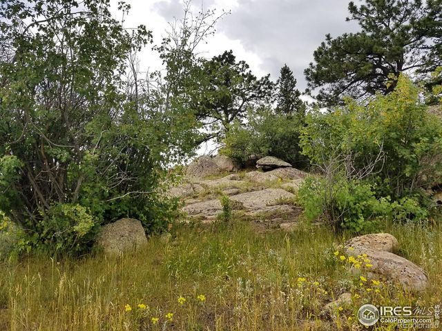 983 Ramona Drive, Red Feather Lakes, CO 80545