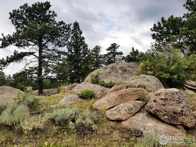 983 Ramona Drive, Red Feather Lakes, CO 80545