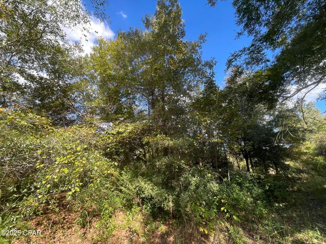 0005 Welcome Church Road, Grand Ridge, FL 32442