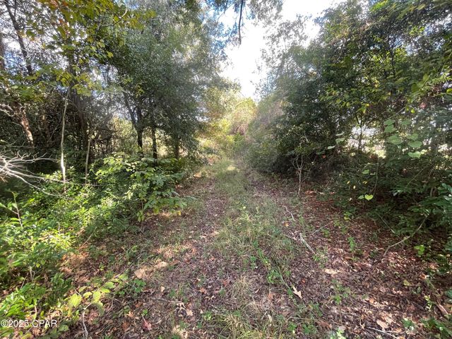 0005 Welcome Church Road, Grand Ridge, FL 32442