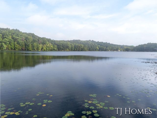 6048 Stewart Woods Drive, Baltimore Twp, MI 49046