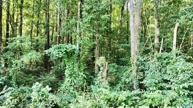 2.93 Acres Highway 231, Arab, AL 35016