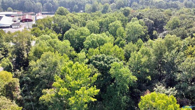 2.93 Acres Highway 231, Arab, AL 35016