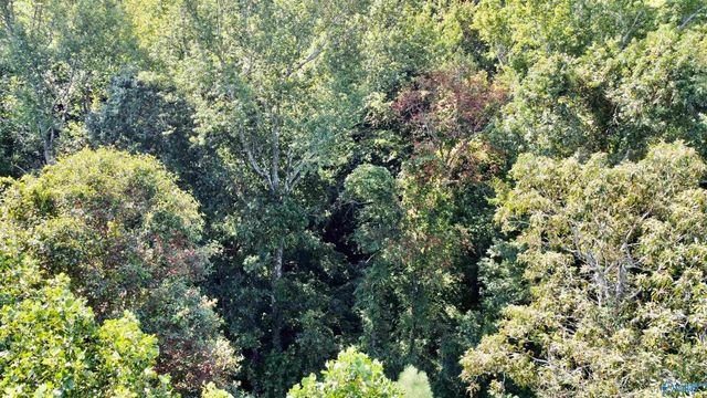 2.93 Acres Highway 231, Arab, AL 35016