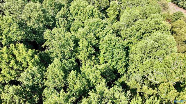 2.93 Acres Highway 231, Arab, AL 35016