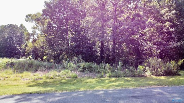 2.93 Acres Highway 231, Arab, AL 35016
