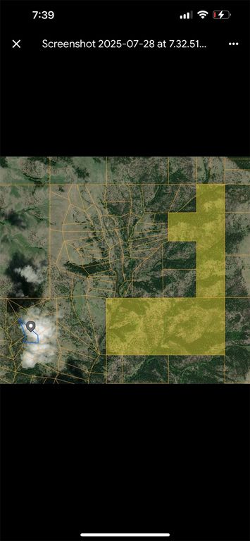 NHN Pine Coulee Lane, Cascade, MT 59421 photo 3
