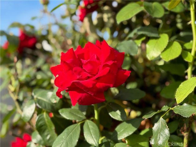 7738 Kraft Avenue, North Hollywood, CA 91605