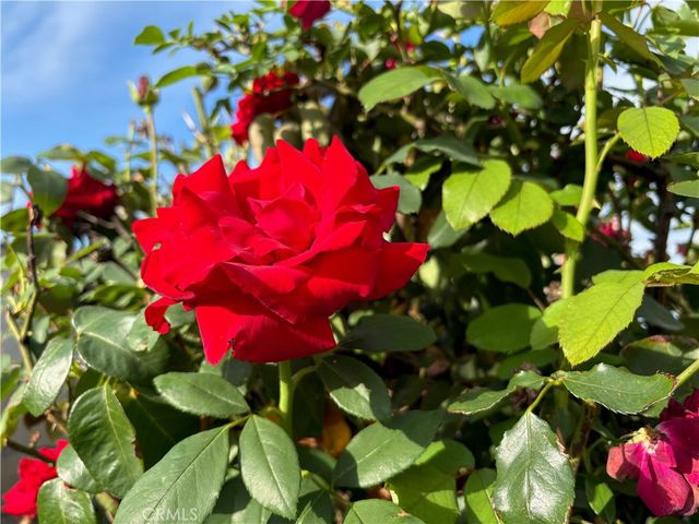 7738 Kraft Avenue, North Hollywood, CA 91605