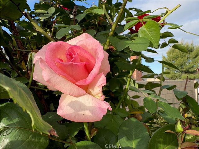 7738 Kraft Avenue, North Hollywood, CA 91605