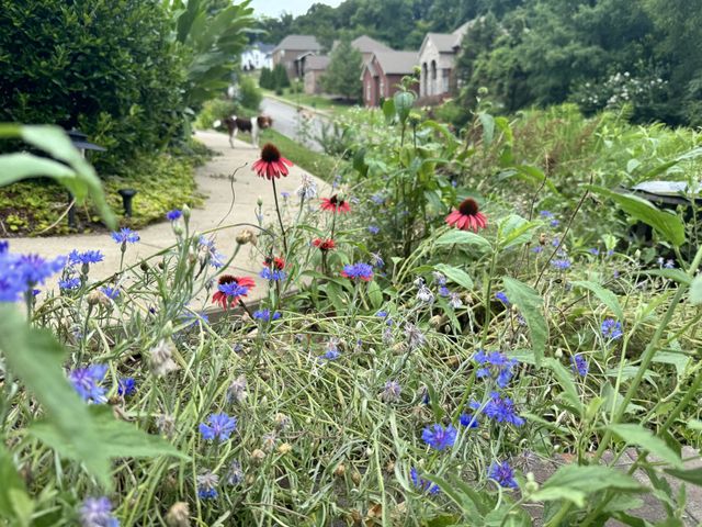 782 Saussy Pl, Nashville, TN 37205