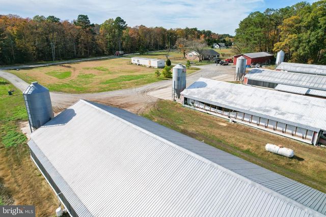 2919 ANDREWVILLE RD, Greenwood, DE 19950