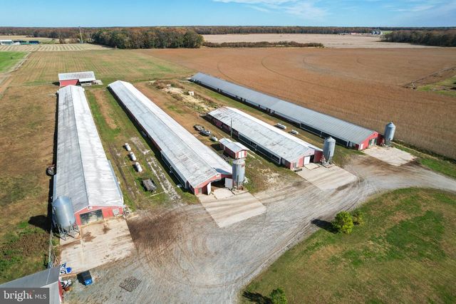 2919 ANDREWVILLE RD, Greenwood, DE 19950