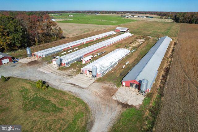 2919 ANDREWVILLE RD, Greenwood, DE 19950