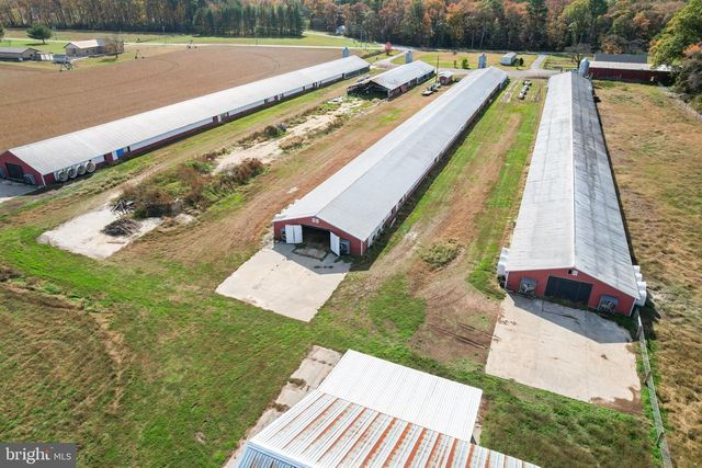 2919 ANDREWVILLE RD, Greenwood, DE 19950