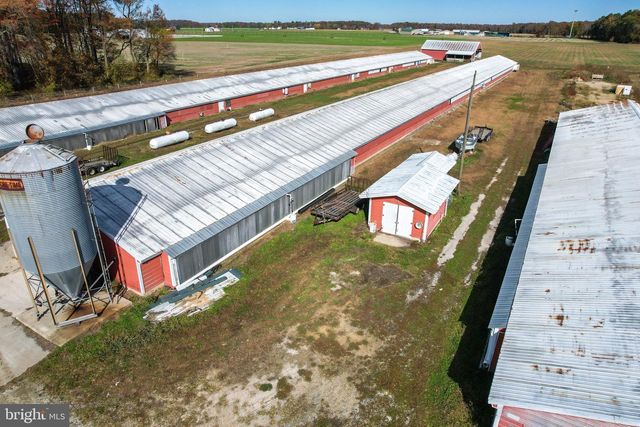 2919 ANDREWVILLE RD, Greenwood, DE 19950