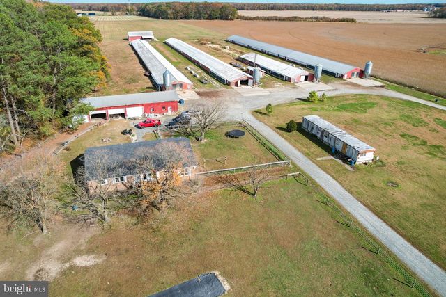 2919 ANDREWVILLE RD, Greenwood, DE 19950