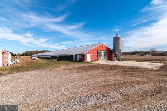 2919 ANDREWVILLE RD, Greenwood, DE 19950