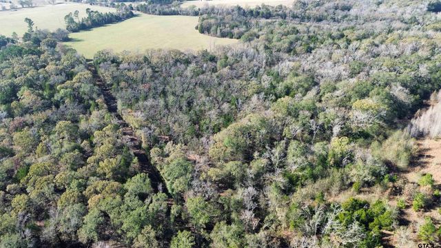 TBD Lot 2 VZ County Road 4134, Canton, TX 75103