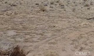 0 Hollywood, 29 Palms, CA 92277