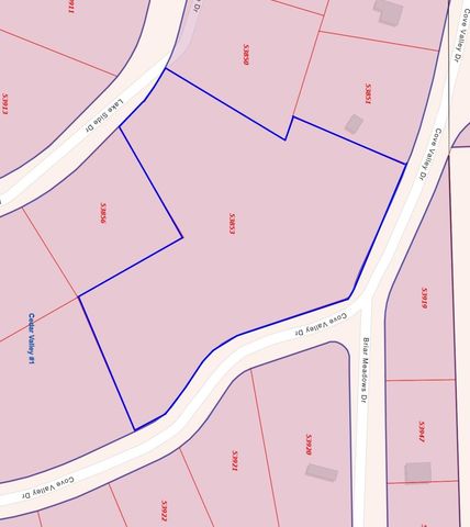 380 Cedar Valley Drive, Coldspring, TX 77331