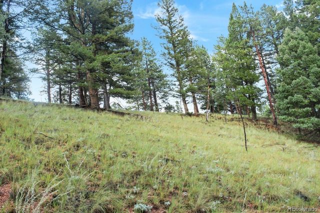 131 Lost Lake Circle, Divide, CO 80814