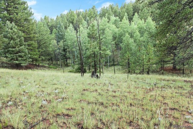 131 Lost Lake Circle, Divide, CO 80814