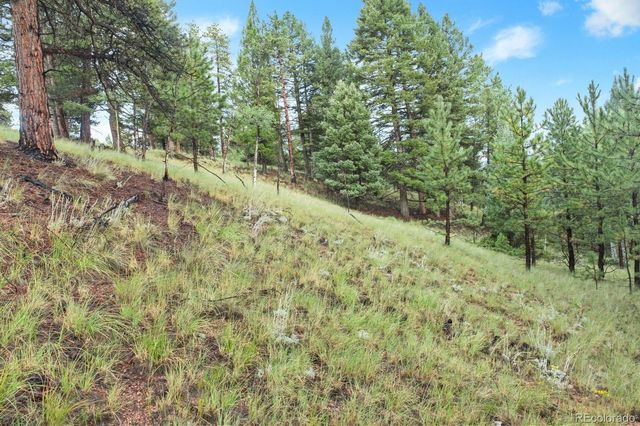 131 Lost Lake Circle, Divide, CO 80814