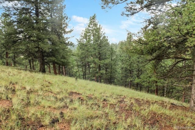 131 Lost Lake Circle, Divide, CO 80814