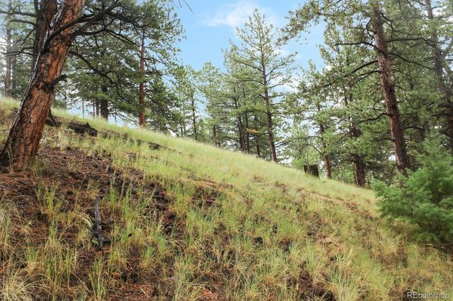 131 Lost Lake Circle, Divide, CO 80814