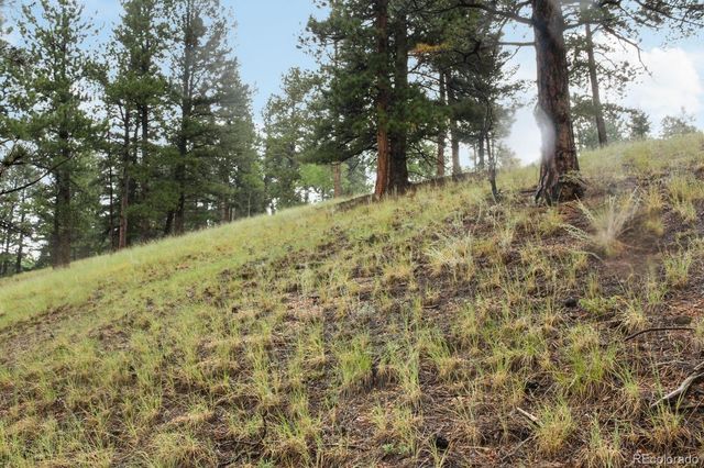 131 Lost Lake Circle, Divide, CO 80814