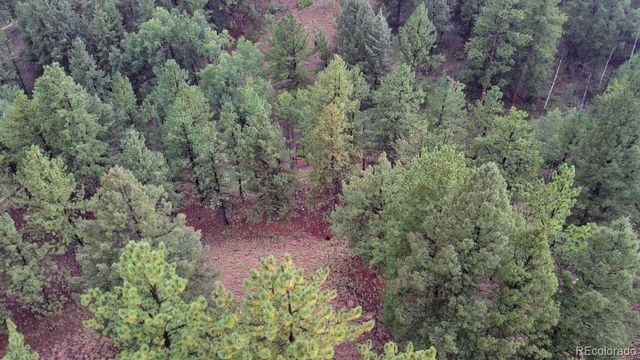 131 Lost Lake Circle, Divide, CO 80814