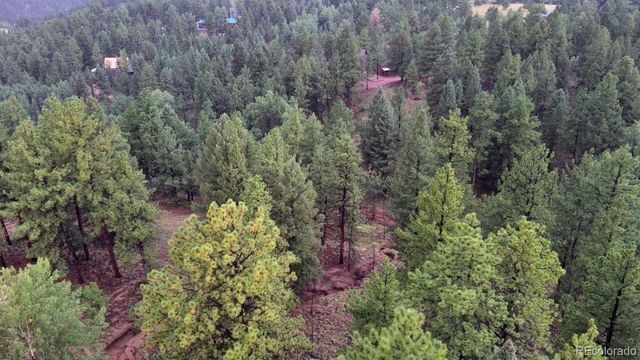 131 Lost Lake Circle, Divide, CO 80814