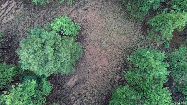 131 Lost Lake Circle, Divide, CO 80814