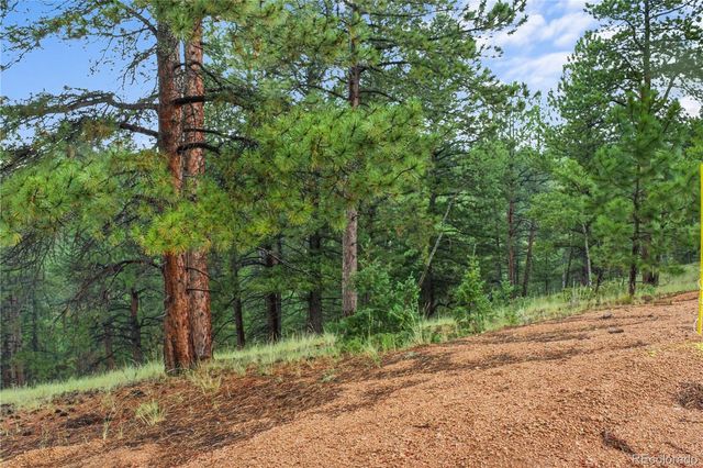 131 Lost Lake Circle, Divide, CO 80814