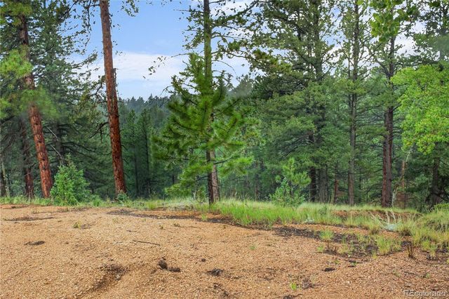 131 Lost Lake Circle, Divide, CO 80814