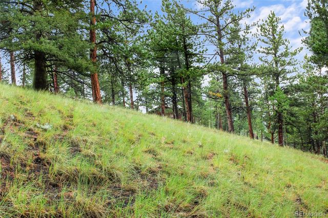 131 Lost Lake Circle, Divide, CO 80814