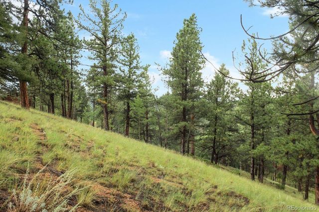 131 Lost Lake Circle, Divide, CO 80814