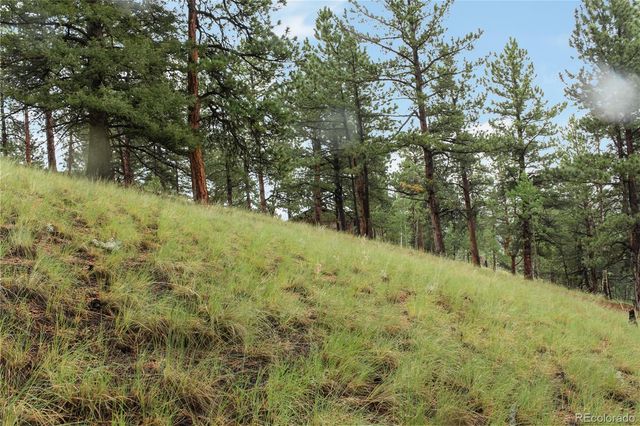 131 Lost Lake Circle, Divide, CO 80814